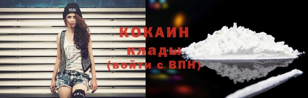 твердый Абаза