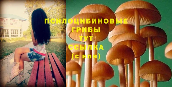 винт Абинск