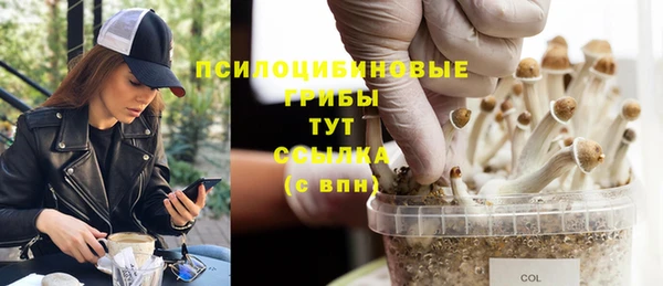 сатива Абдулино