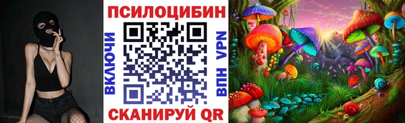 Псилоцибиновые грибы GOLDEN TEACHER Задонск
